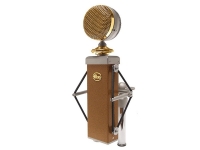 Blue Cactus Blue Cactus